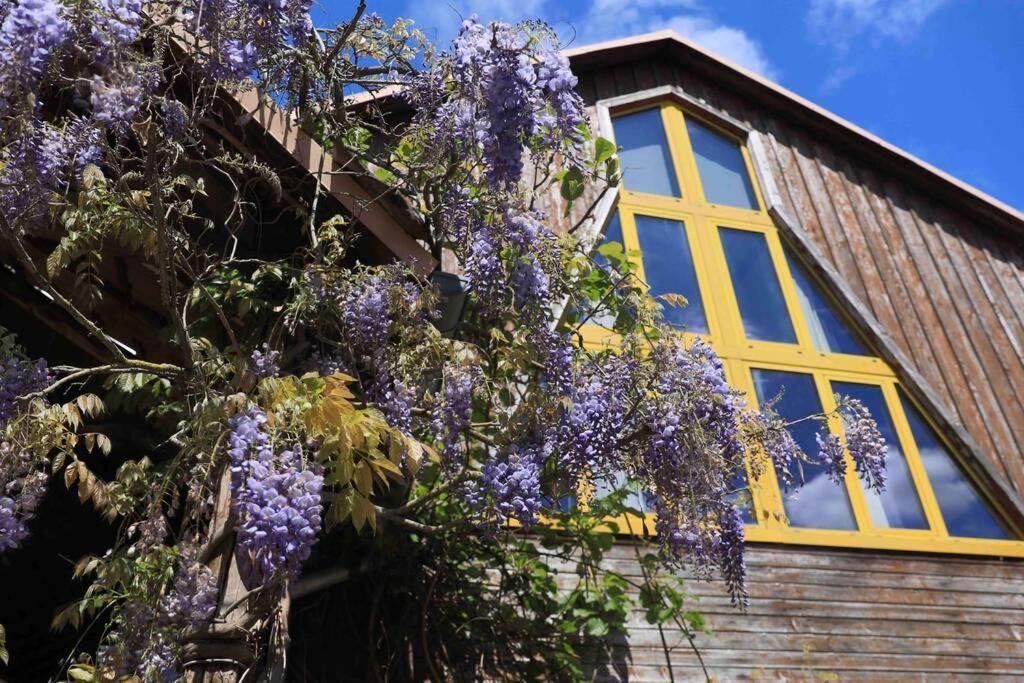 Apartmán La Grange De Jeannette Burnhaupt-le-Haut Exteriér fotografie